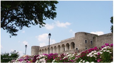 muralhas do castelo de Abrantes e campo de flores campestres